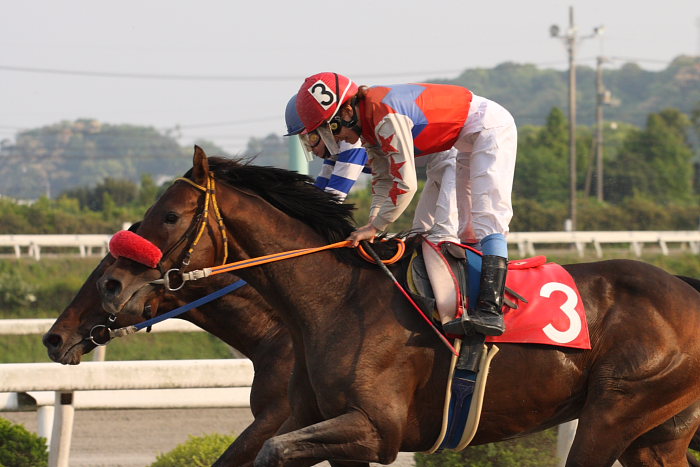 2008年4月27日(日) 高知競馬 11R_a0077663_1254699.jpg