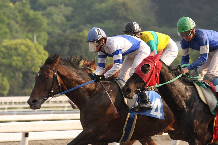 2008年4月27日（日） 高知競馬 11R_a0077663_125599.jpg