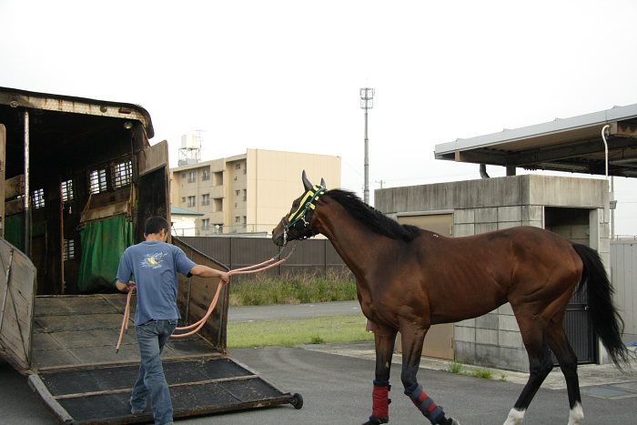 オグリキャップ記念 レース後 その3_a0077663_1662045.jpg