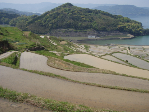 福島の棚田_a0077071_1762110.jpg
