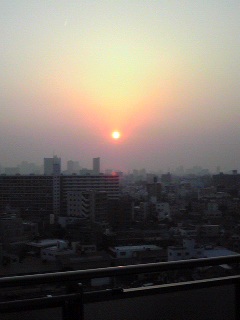 a0094278_1754750.jpg
