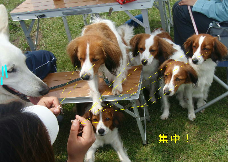 c0075585_22185899.jpg