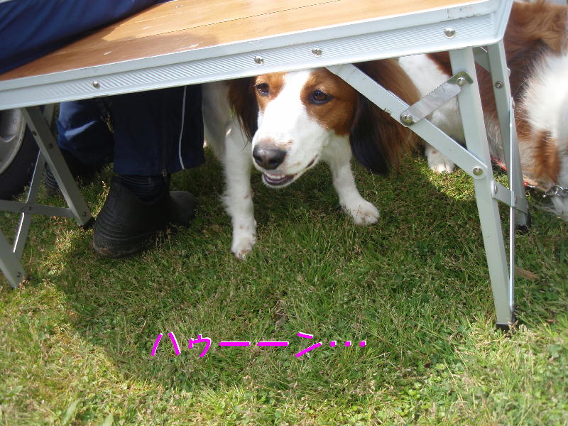 c0075585_2227622.jpg
