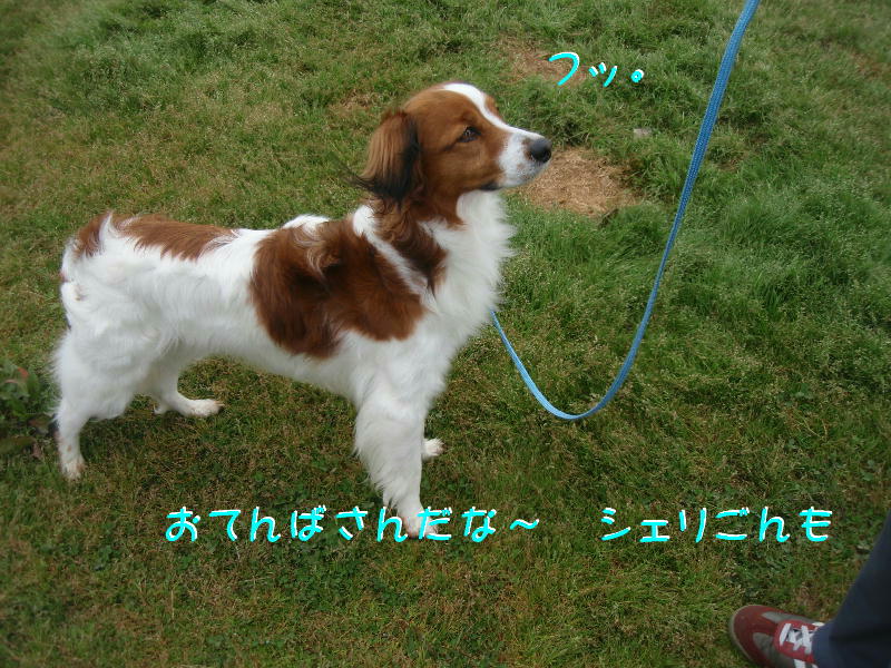 c0075585_2293116.jpg