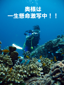 3年ぶりの復帰戦はラチャヤイ島で!_f0144385_8562871.jpg