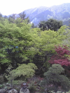 +ピザ焼いてきました+_d0079988_10265840.jpg