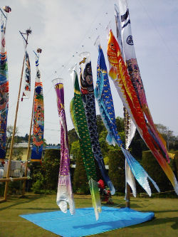 c0049489_22334298.jpg