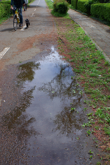 雨上がりの自転車道_f0164189_1620237.jpg