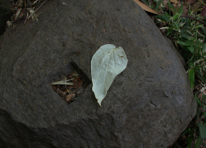 c0007501_11294688.jpg