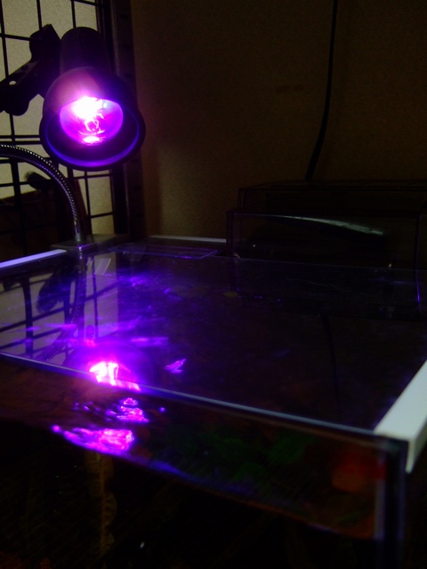c0043403_21585827.jpg
