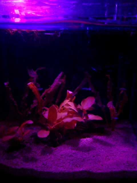 c0043403_2311207.jpg