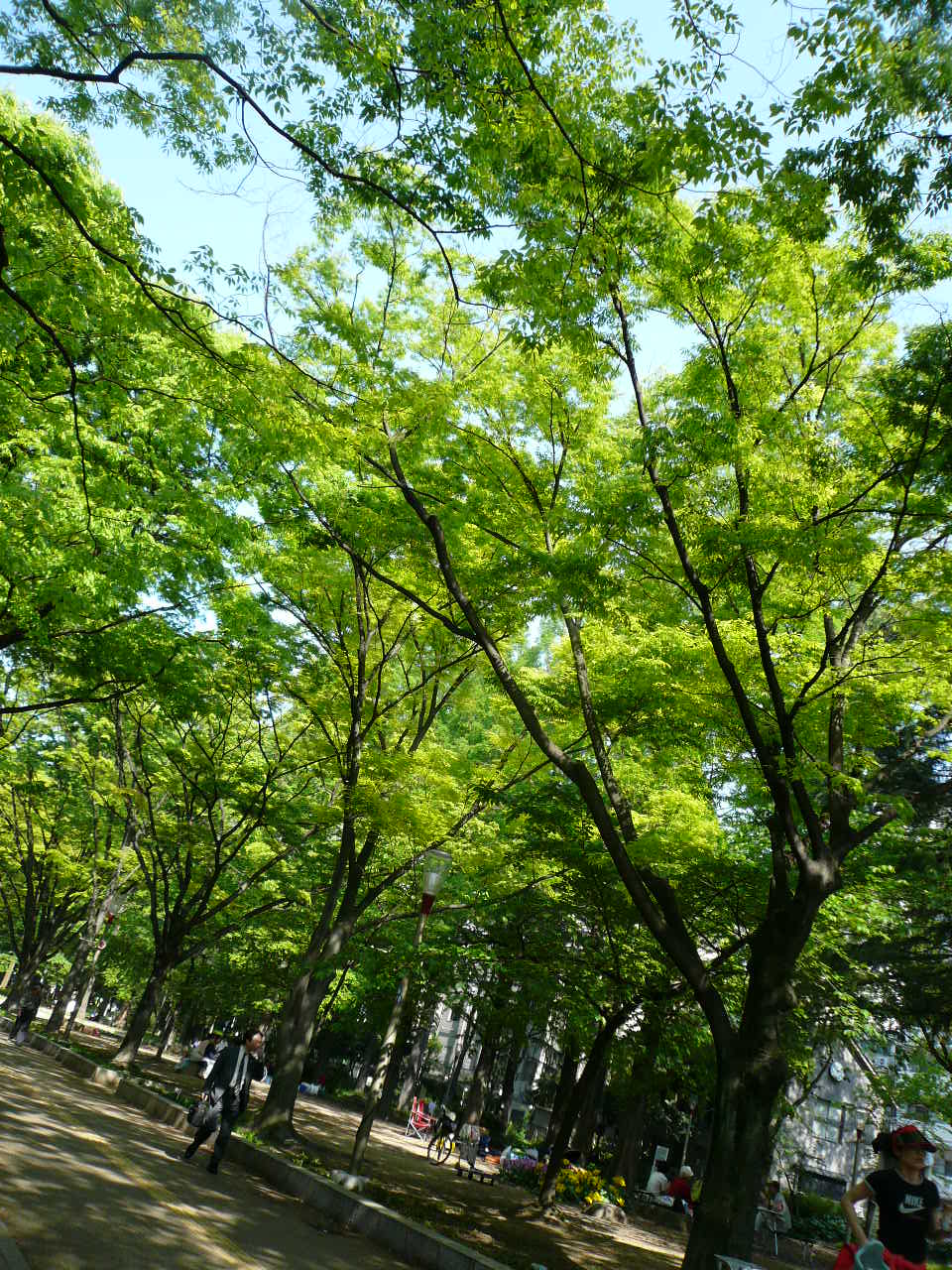 a0103914_8462669.jpg