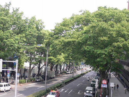 f0117618_137323.jpg