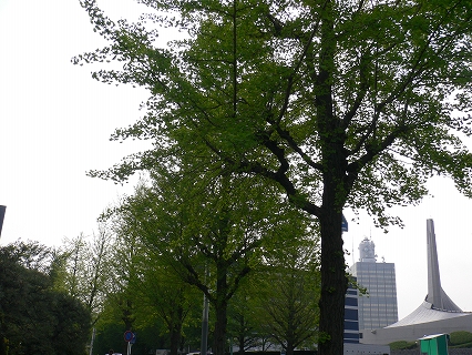 f0117618_1444337.jpg