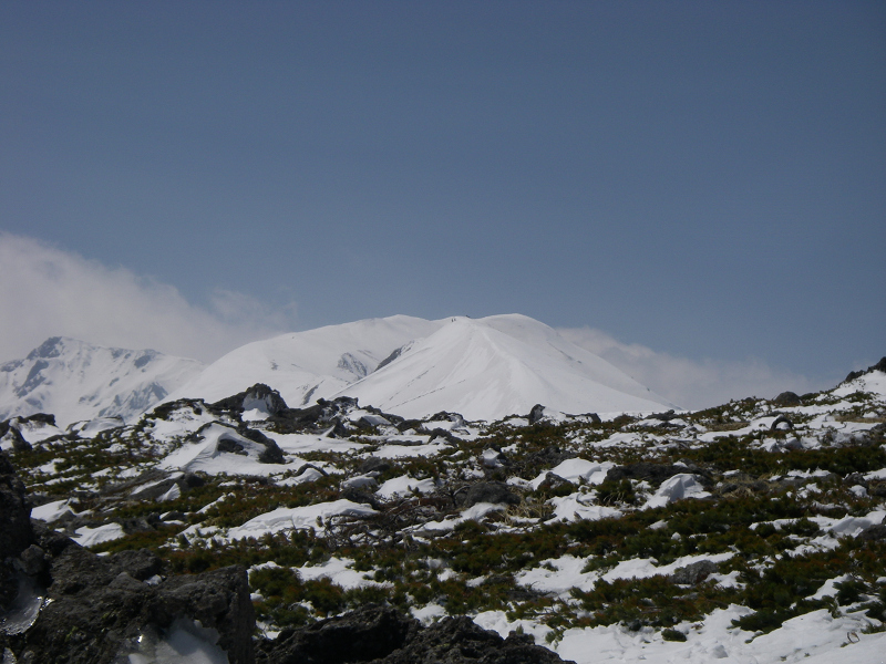 c0057221_15029.jpg