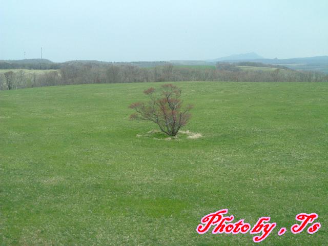 f0147821_122427.jpg