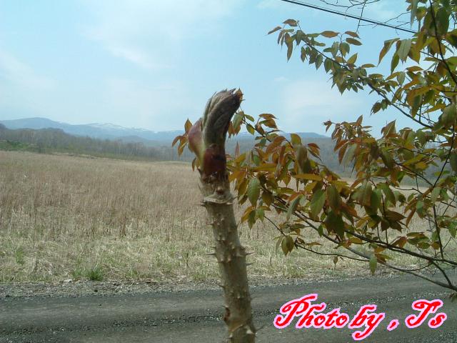 f0147821_1240819.jpg