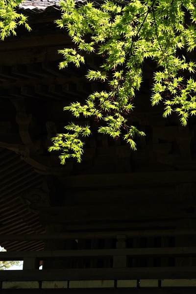 新緑の山寺　普門寺　1_d0120622_22365550.jpg