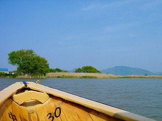 d0139827_1864539.jpg