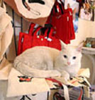 猫ふんじゃったなギャラリーPART6_f0138928_13371931.jpg