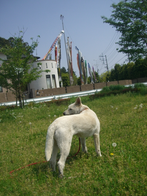 c0123029_1433349.jpg