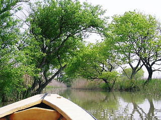 c0143330_10305785.jpg
