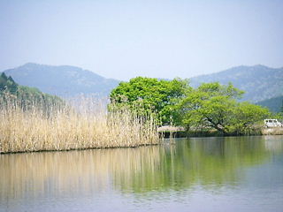c0143330_10313617.jpg