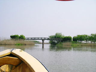 c0143330_10321847.jpg