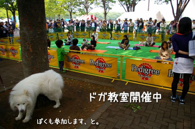 日曜日の寄り道帰り道_c0062832_16563662.jpg