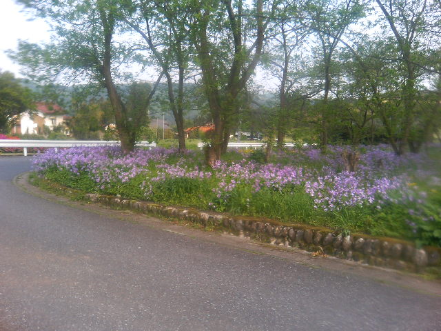 e0012232_21391218.jpg