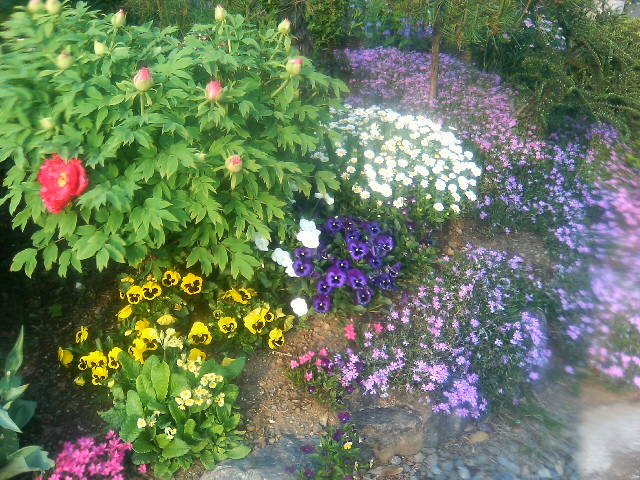e0012232_21404654.jpg