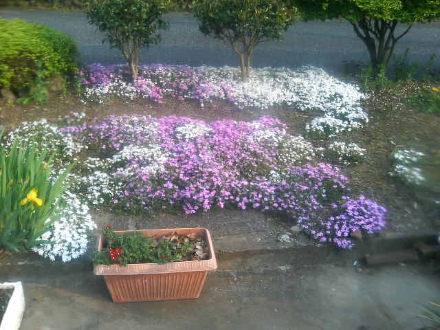 e0012232_21412040.jpg