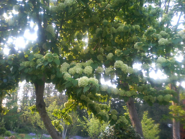 e0012232_21421660.jpg