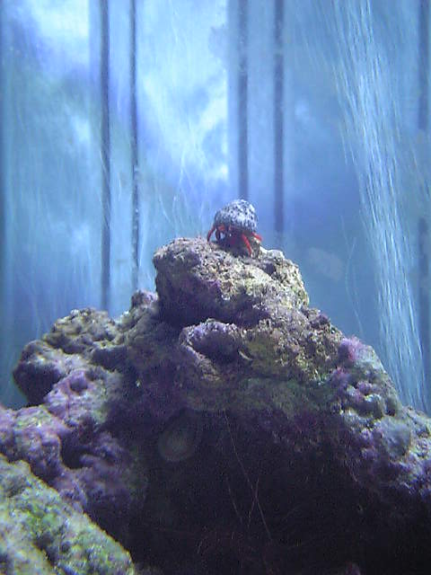 c0108434_21185977.jpg