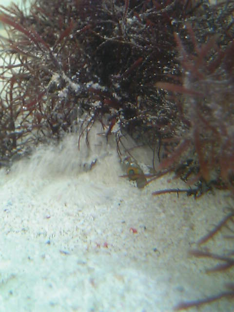 c0108434_21272791.jpg