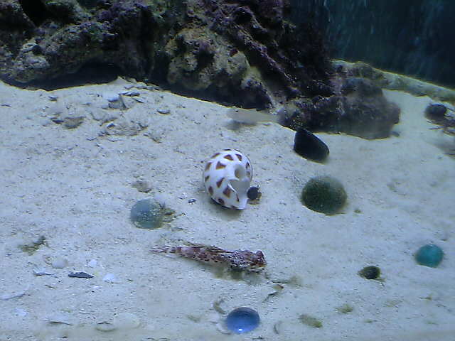 c0108434_21435933.jpg