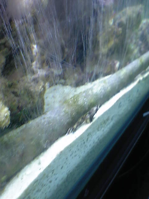 c0108434_21443962.jpg