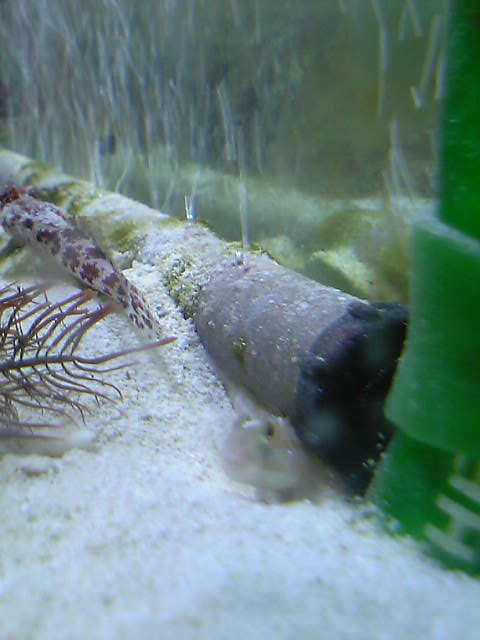 c0108434_21473948.jpg