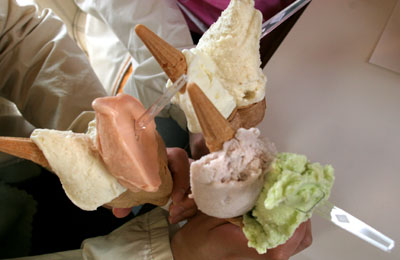 f0031535_23461222.jpg
