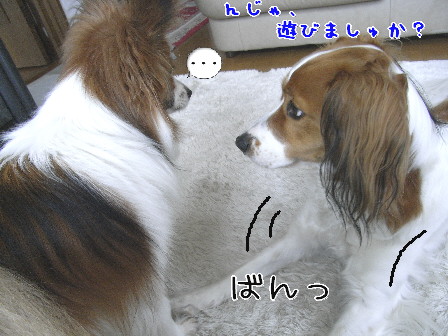 d0013149_04453.jpg