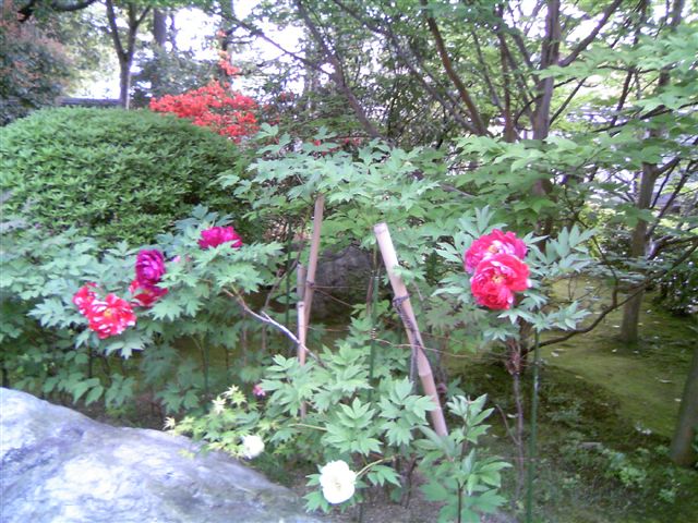 e0036151_21154314.jpg