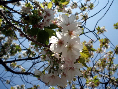 大人の遠足～大阪編　其の肆_c0020452_2311347.jpg