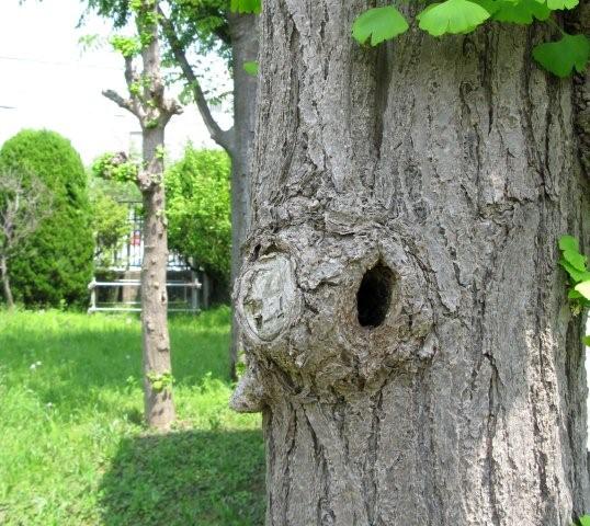 Hole in the heart_c0157558_15483739.jpg