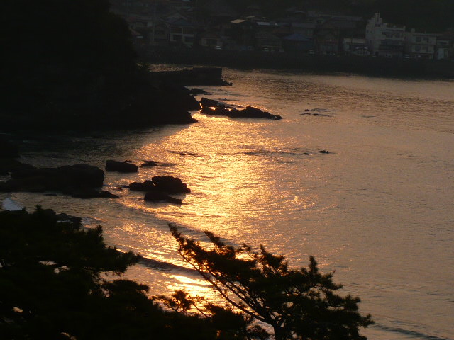 アササン_c0100865_622455.jpg