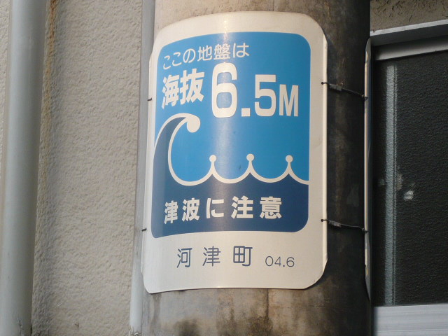アササン_c0100865_623052.jpg