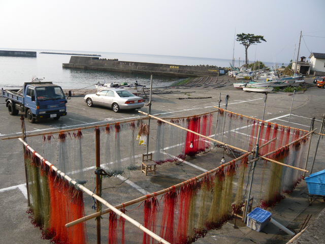 アササン_c0100865_6231212.jpg