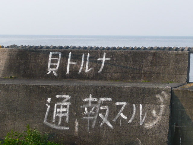 アササン_c0100865_6235242.jpg