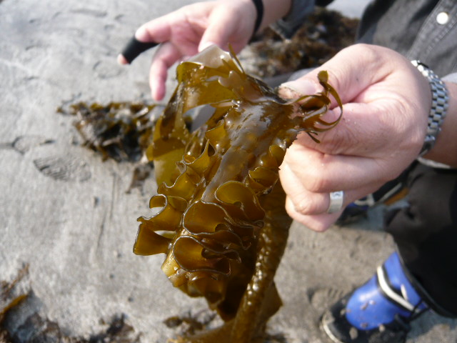 アササン_c0100865_6262249.jpg