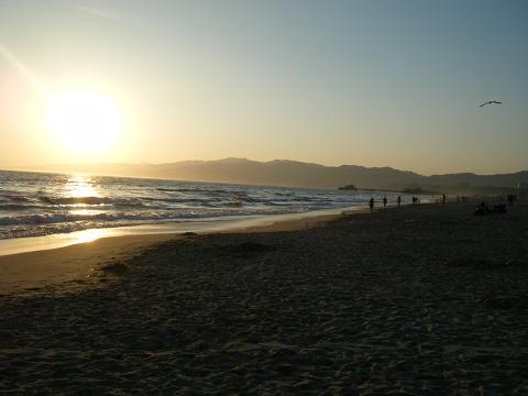 Santa Monica ２日目⑤　４月２６日 Last Beach_c0151965_10444865.jpg