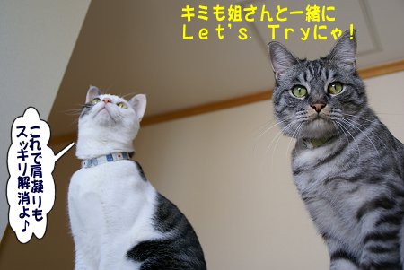 a0039366_2159964.jpg